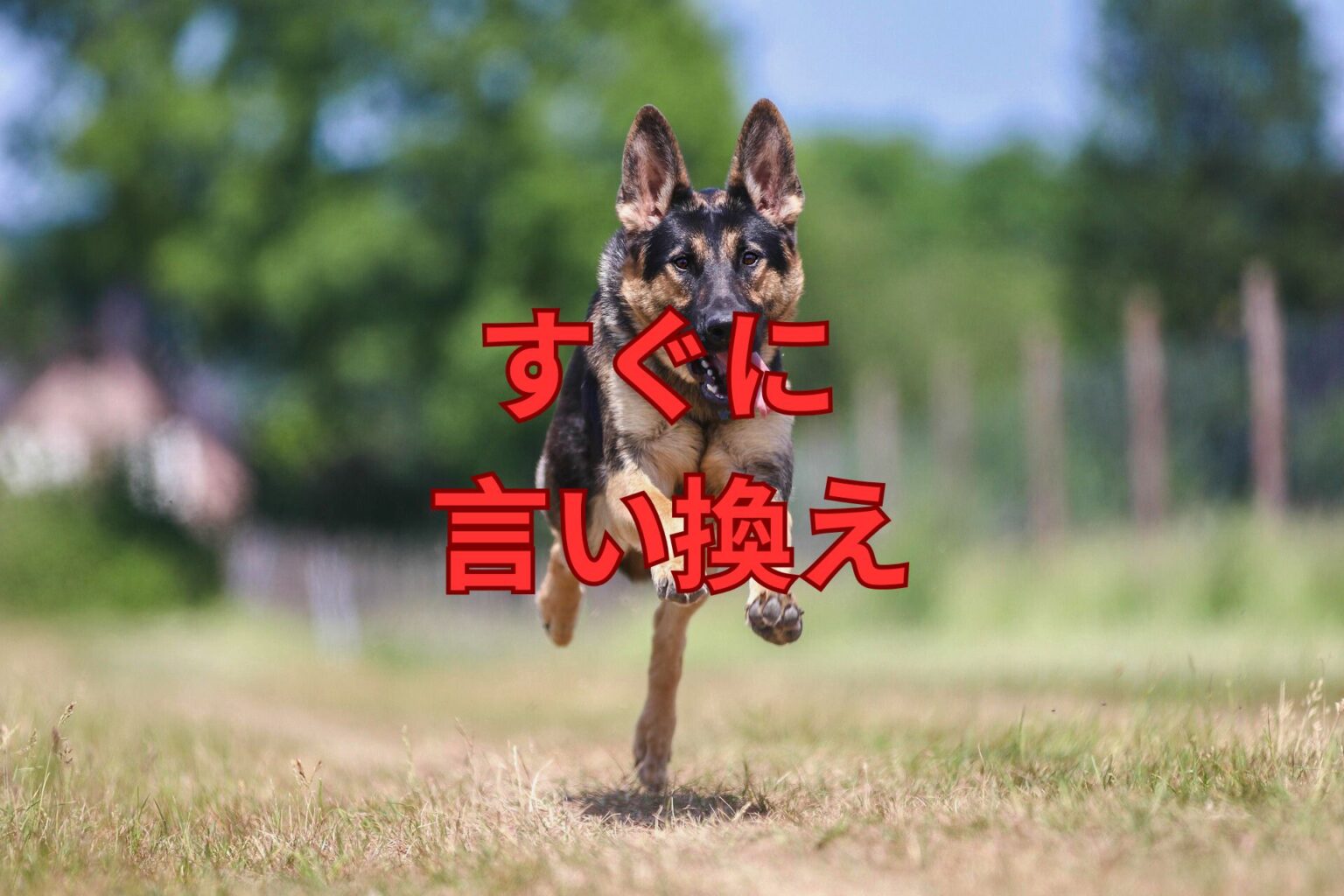 すぐに 言い換え33選!ビジネス 面白い表現 ニュアンス 誤用例は?例文で学習しましょう! | 日本語単語リスト