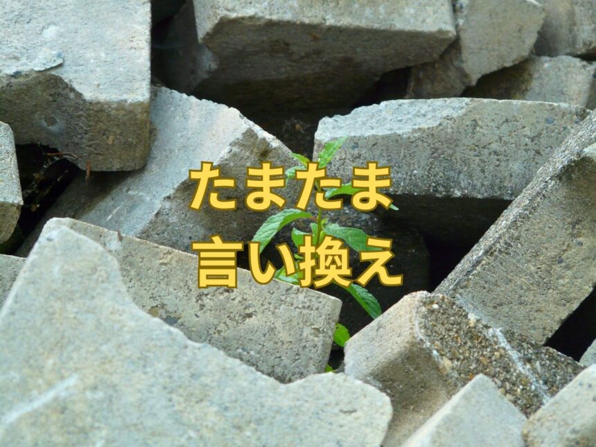 たまたま 言い換え31選!レポート ビジネス表現 ニュアンス 誤用例は?例文で学びましょう! | 日本語単語リスト